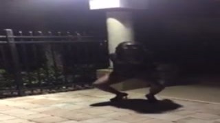 Julia was enjoying a stroll through the park when she saw a group of guys playing frisbee