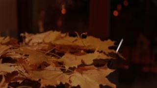 Famegirls Nora vid 22p1