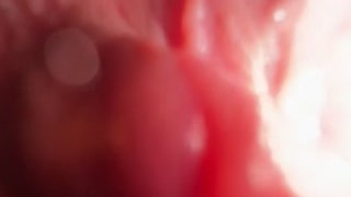 Extremely close up ass worship and talk