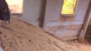 Shes bent over the kitchen table, her skirt hiked up around her waist, showing off her sexy black lace panties