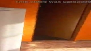 The sun was setting, casting a warm orange glow over the backyard