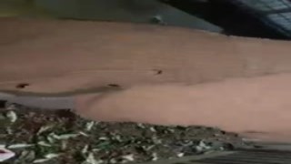 Shes such a hot little slut, I can barely contain myself around her