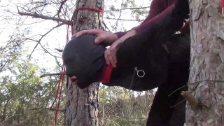 Orgasm exquisite Lara Stevens has a wonderful idea to please solid penis