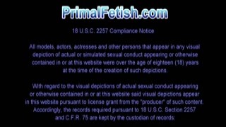 Primal Fetish - Krissy Lynn And Quinton James