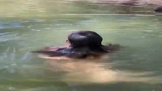 OnlyFans - The Wettest Solo Ive Ever Shot - Alina Lopez