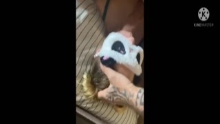 Cheryl was a fine-looking girl, but her husbands friend Tom had always had a thing for her