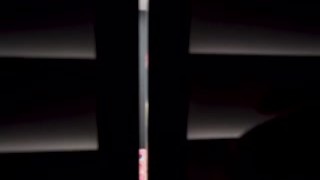 Stepbro fucks his stepsister Lexi Victoria