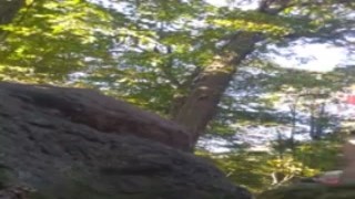 Kali Kakes loves getting her big booty out in the streets of NYC