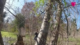 Katrina Van - Blowjob in the National Park, Public Sex!