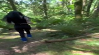 mercy rage goddess mercy