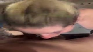 Oh my, I cant believe how hot your cock is