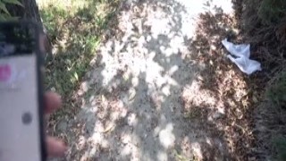 Im a hot, horny ebony teen named Ashley Aleigh, and I like to give blow jobs to hot strangers who are willing to reward me for it