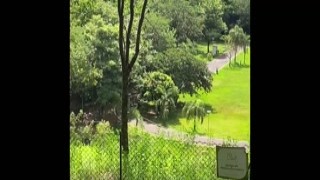 ZaraSnake - DEI a BUCETINHA NO PARQUE PUBLICO E AINDA TOMEI LEITE NA BOQUINHA