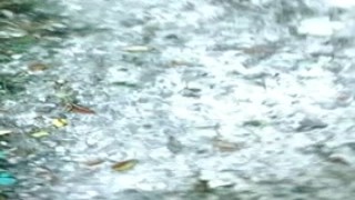 Aurbeaureal - MYM.fans no.017