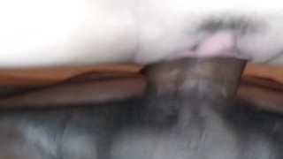 Shadowgodking - She back 30 days with out dick