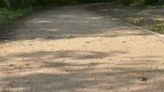 Aurbeaureal - MYM.fans no.131