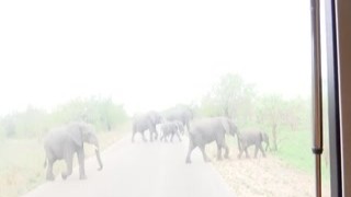 Big Tits Black Babe Plays With Her Big Clit POV Close-Up Till She Cums