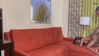 The tiny mini stallion was huddled in the corner of the stall, her eyes wide with fear as the massive goat approached her