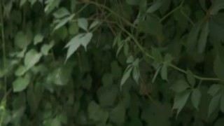 Jeny Smith - invisible nakedness