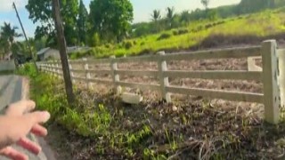 she sucked my cock like a thirsty bitch, while he watched with his dumb-fuck eyes