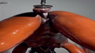 Queen Tahshaar - OnlyFans #044