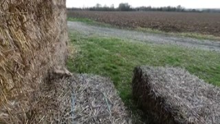 Aurbeaureal - MYM.fans no.132