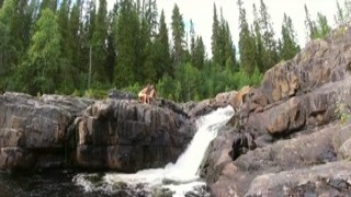 ImplantBoy - PornHub #12