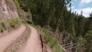 Ted slammed his bikes gear into the highest possible setting and pedaled furiously up the rocky hill