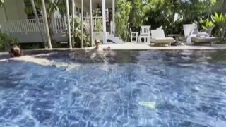 Hot Babe Takes a Swim and Gets My Cock Poolside