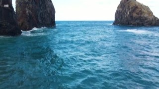 Irene Rouse - Wild and Beautiful