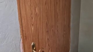 RealSweetOphelia - She paid for apartment renovation with her body POV