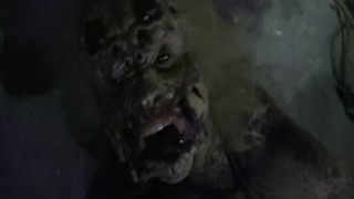 HORROR PORN – Female Spider