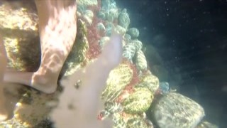 kiss1couple - Underwater creampie