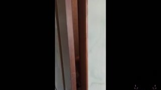 Eleo and Mish - Catch Stepsister Masturbate in Hostel Shower. Teach Stepbro How to Fuck