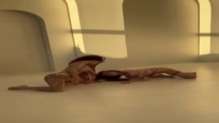 Petite Nikole - OnlyFans #07