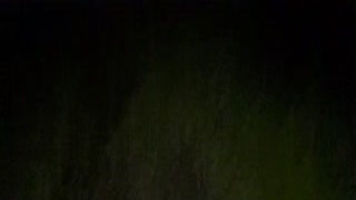 As we strolled through the woods, my big sisters tits bounced up and down like two ripe melons