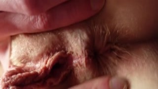 RedWildCat - OmlyFans #241