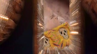 NIGONIKA - A Girl Overslept At A Party And Got Fucked [4k] Nigonika