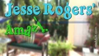 Jessie Rogers - LittleMutt