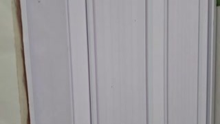 renatasurtada - I had to use the bathroom with her in the shower!