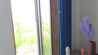 Emma Scarlett - Lets Make Porno