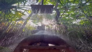 Queen Tahshaar - OnlyFans #034