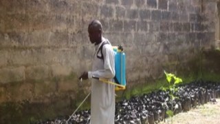 The farmers cock was so big that it fucked me deep, hitting every nerve in my pussy until I was screaming for him to stop