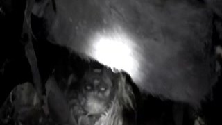 HORROR PORN – Walking Zombies