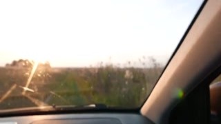 Alisa Lovely - Babe Blowjob Dick Strangerand Hard Doggy Sex in Field