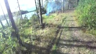 The mushroom picker was out in the woods, surrounded by natures beauty and abundance