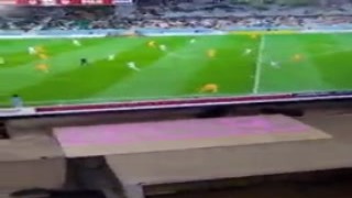 The Qatar World Cup was a hot, sweaty, and horny tournament