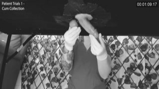 I want to see that video where they extract the sperm from your big balls