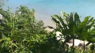 She was a hot babe with tits that jiggled as she ran on the sand