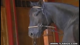black stud with big black penis